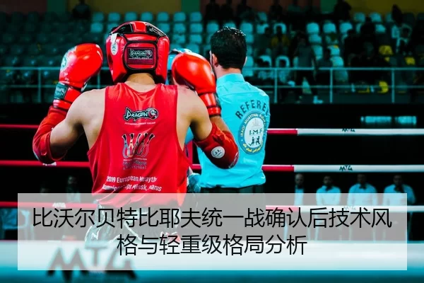 bi-wo-er-bei-te-bi-ye-fu-tong-yi-zhan-que-ren-hou-ji-shu-feng-ge-yu-qing-zhong-ji-ge-ju-fen-xi-2-625.jpg